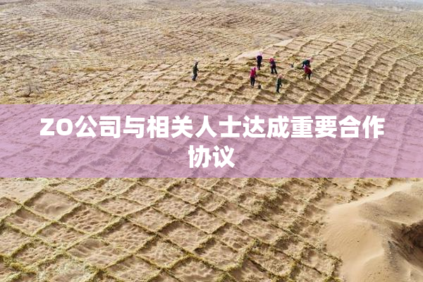ZO公司与相关人士达成重要合作协议