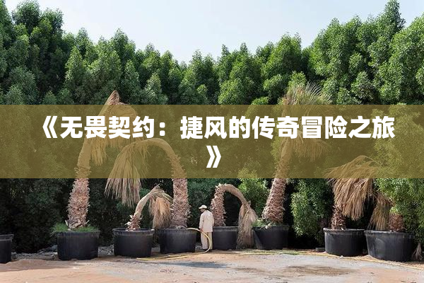 《无畏契约：捷风的传奇冒险之旅》