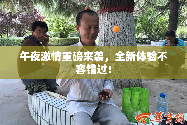 午夜激情重磅来袭，全新体验不容错过！