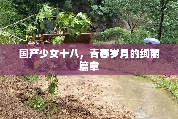 国产少女十八，青春岁月的绚丽篇章