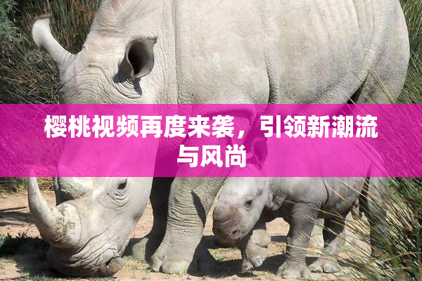 樱桃视频再度来袭，引领新潮流与风尚