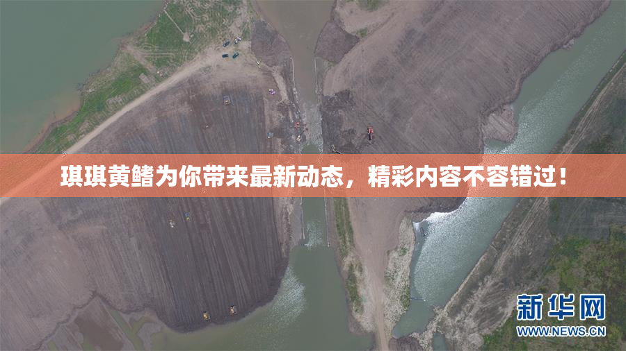琪琪黄鳍为你带来最新动态，精彩内容不容错过！