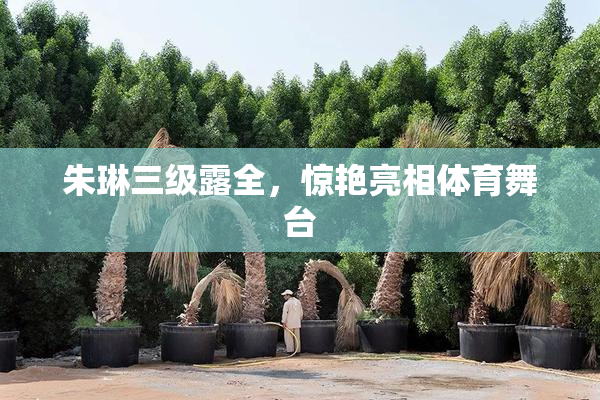 朱琳三级露全，惊艳亮相体育舞台