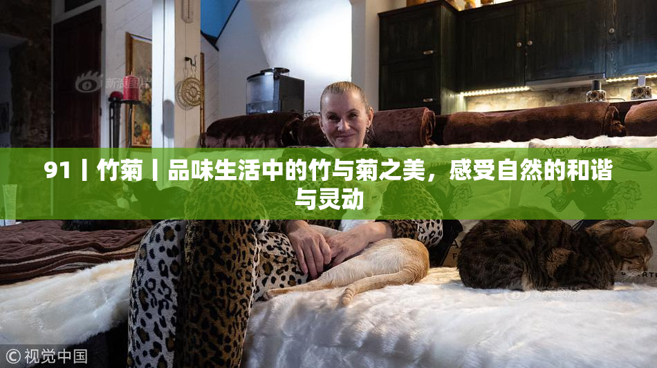 91丨竹菊丨品味生活中的竹与菊之美，感受自然的和谐与灵动