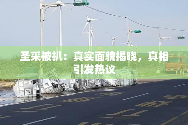 圣采被扒：真实面貌揭晓，真相引发热议