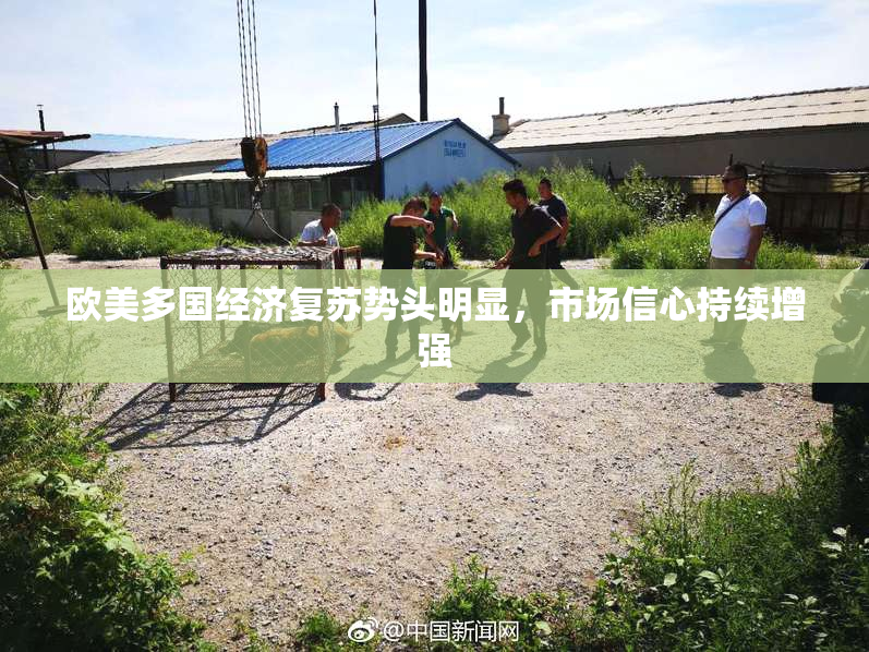 欧美多国经济复苏势头明显，市场信心持续增强