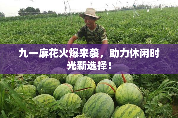 九一麻花火爆来袭，助力休闲时光新选择！