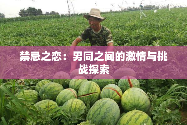 禁忌之恋：男同之间的激情与挑战探索