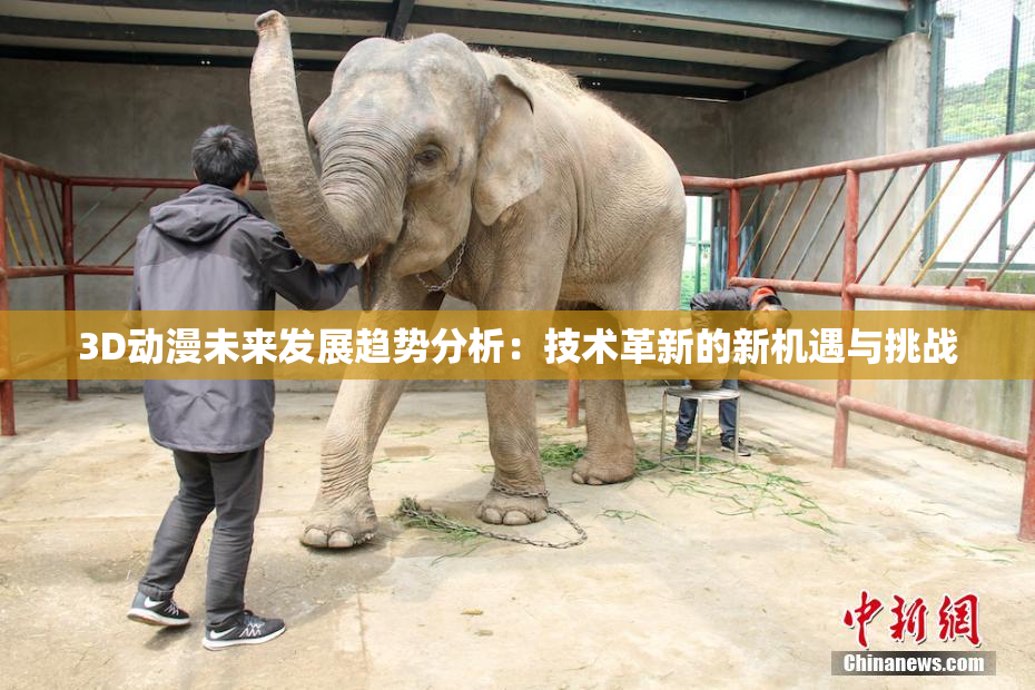 3D动漫未来发展趋势分析：技术革新的新机遇与挑战