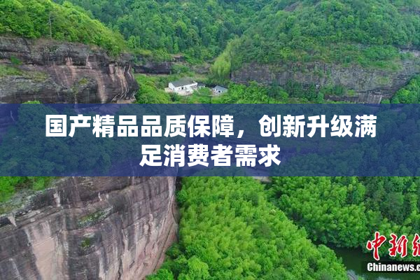 国产精品品质保障，创新升级满足消费者需求