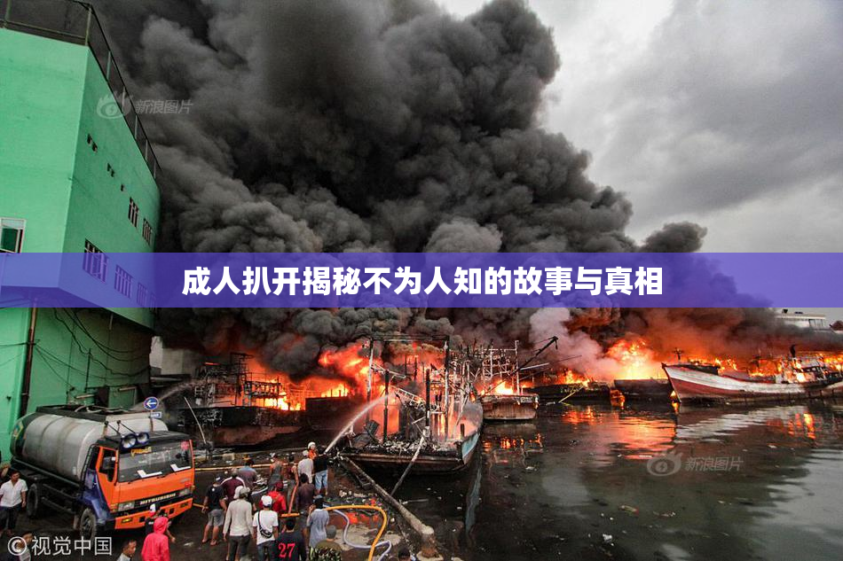 成人扒开揭秘不为人知的故事与真相