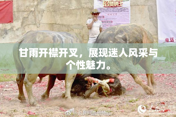 甘雨开襟开叉，展现迷人风采与个性魅力。
