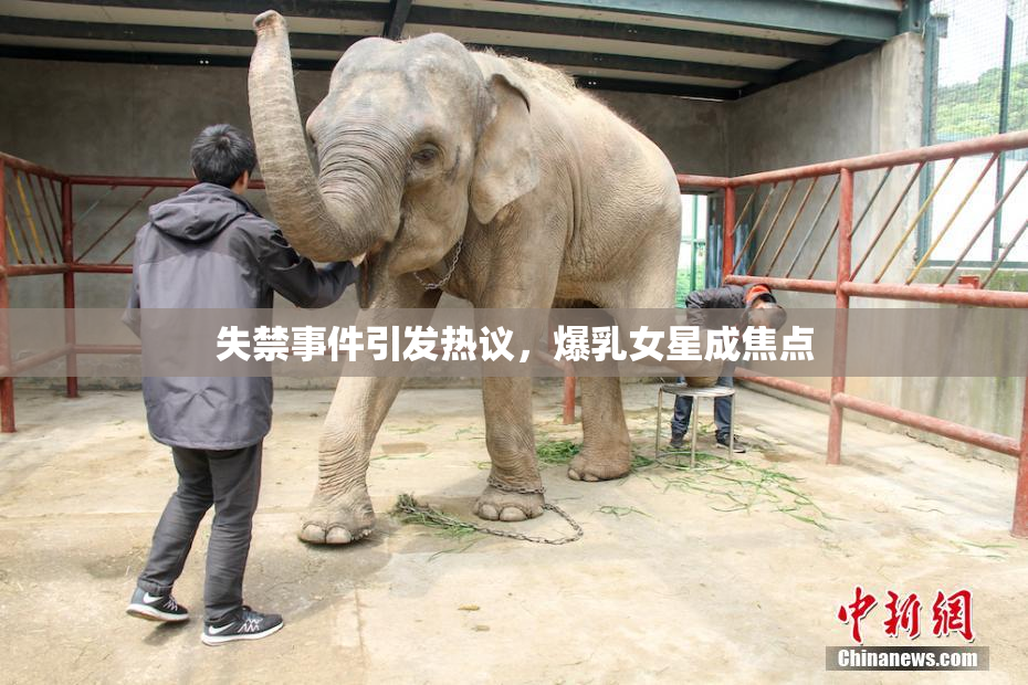 失禁事件引发热议，爆乳女星成焦点