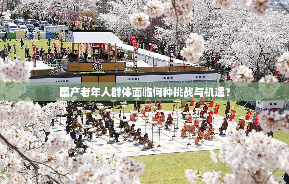 国产老年人群体面临何种挑战与机遇？