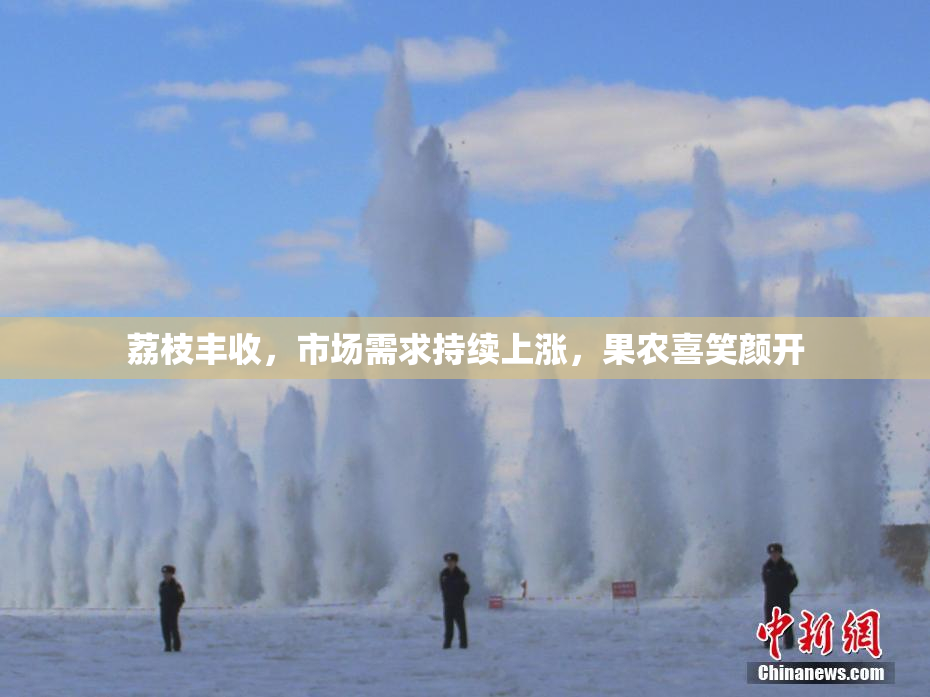 荔枝丰收，市场需求持续上涨，果农喜笑颜开
