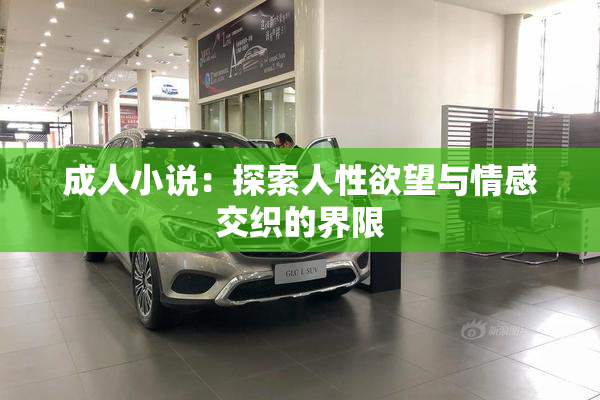 成人小说：探索人性欲望与情感交织的界限