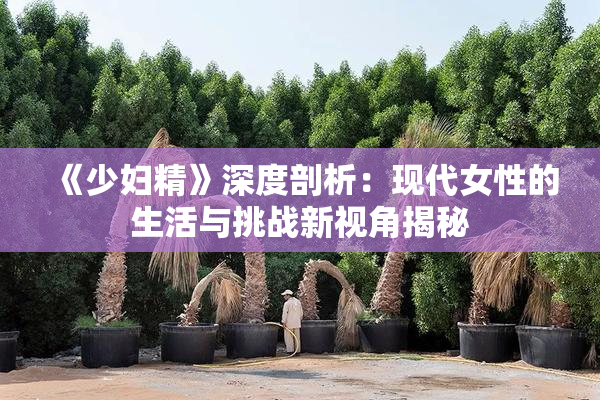 《少妇精》深度剖析：现代女性的生活与挑战新视角揭秘