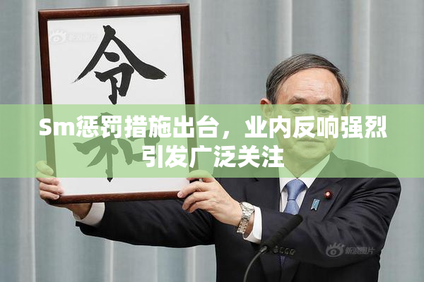 Sm惩罚措施出台，业内反响强烈引发广泛关注