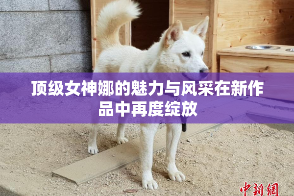 顶级女神娜的魅力与风采在新作品中再度绽放