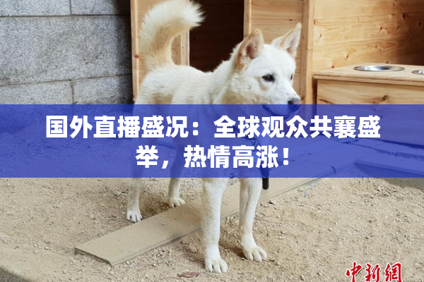 国外直播盛况：全球观众共襄盛举，热情高涨！