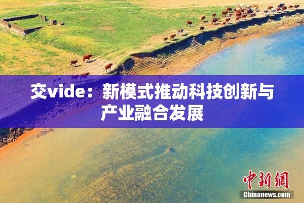 交vide：新模式推动科技创新与产业融合发展