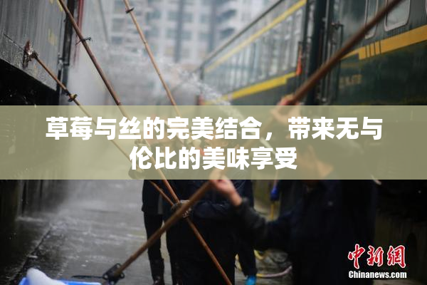 草莓与丝的完美结合，带来无与伦比的美味享受