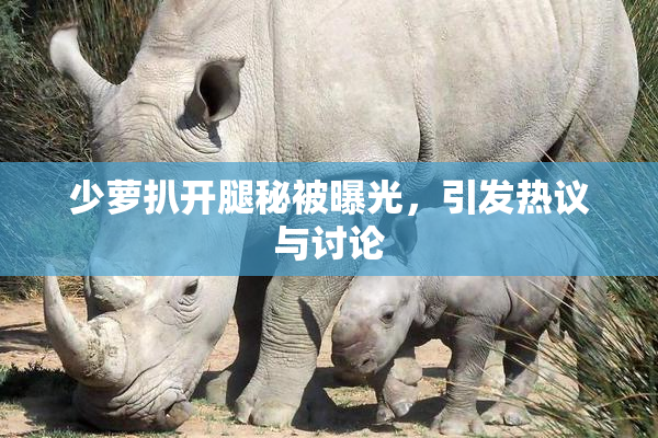 少萝扒开腿秘被曝光，引发热议与讨论