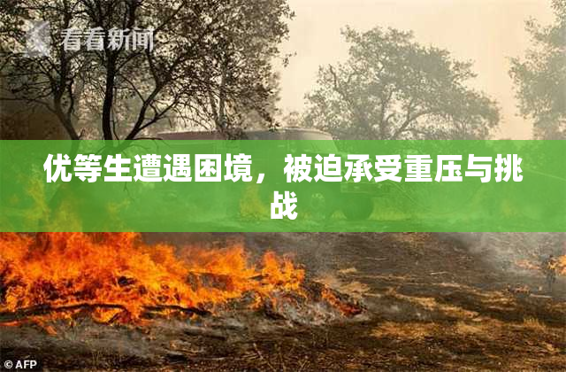 优等生遭遇困境，被迫承受重压与挑战