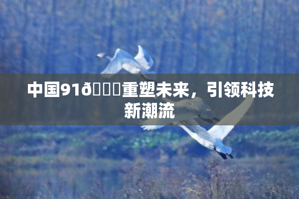 中国91🍆重塑未来，引领科技新潮流