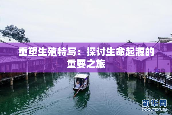 重塑生殖特写：探讨生命起源的重要之旅