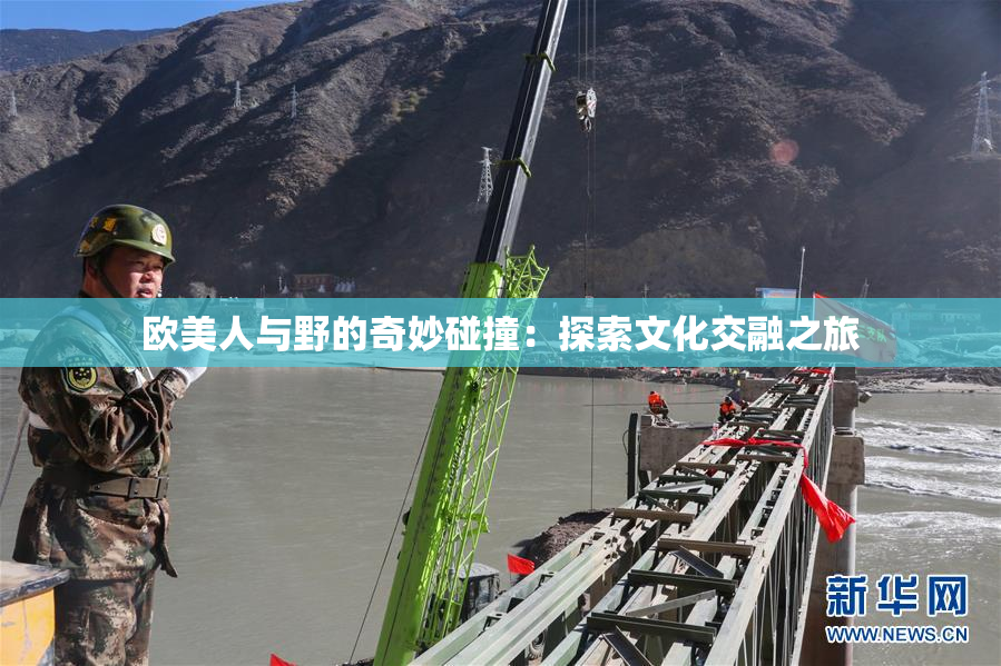 欧美人与野的奇妙碰撞：探索文化交融之旅