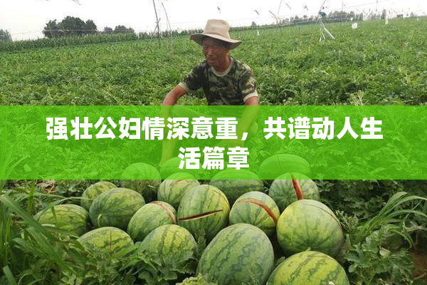 强壮公妇情深意重，共谱动人生活篇章