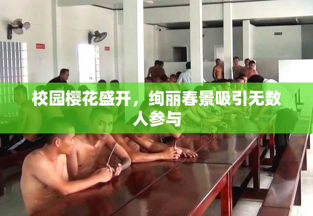 校园樱花盛开，绚丽春景吸引无数人参与