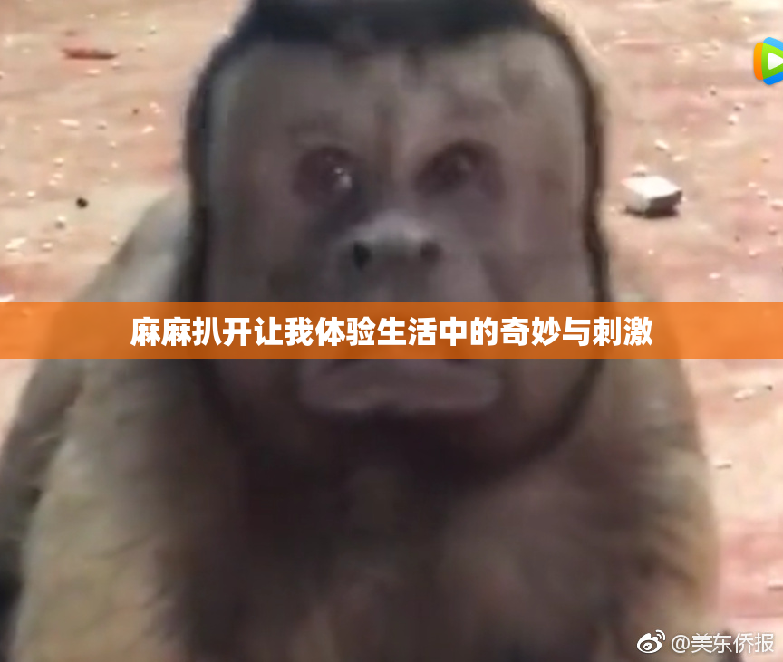 麻麻扒开让我体验生活中的奇妙与刺激