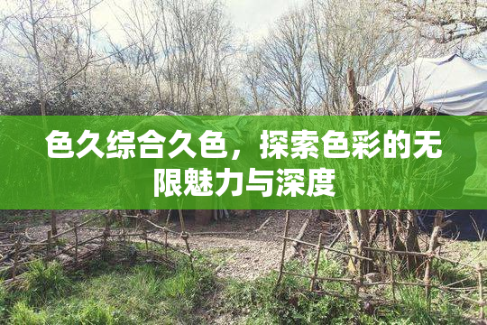 色久综合久色，探索色彩的无限魅力与深度