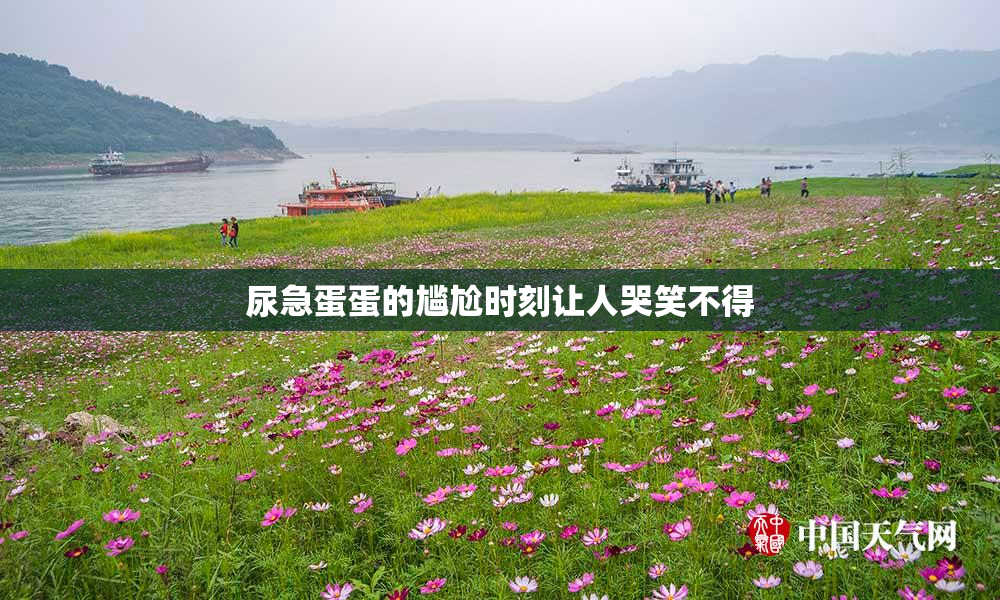 尿急蛋蛋的尴尬时刻让人哭笑不得