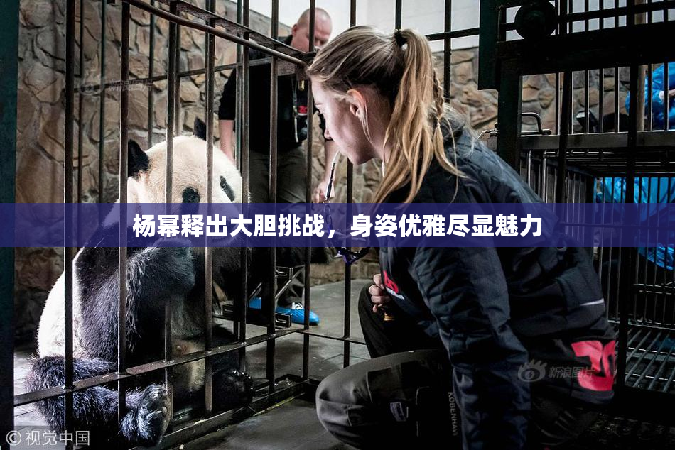 杨幂释出大胆挑战，身姿优雅尽显魅力