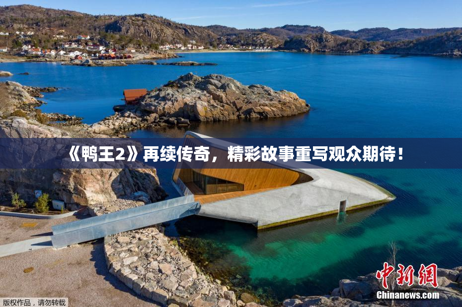 《鸭王2》再续传奇，精彩故事重写观众期待！