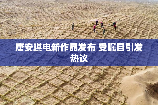 唐安琪电新作品发布 受瞩目引发热议