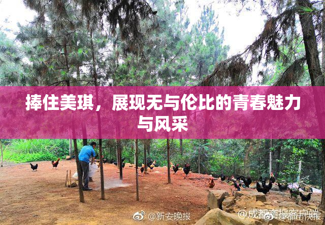 捧住美琪，展现无与伦比的青春魅力与风采