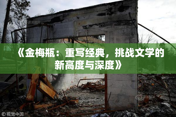《金梅瓶：重写经典，挑战文学的新高度与深度》