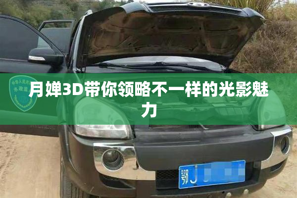 月婵3D带你领略不一样的光影魅力