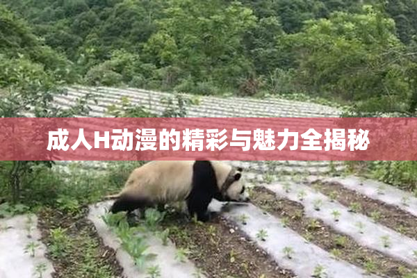 成人H动漫的精彩与魅力全揭秘