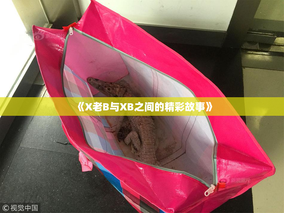 《X老B与XB之间的精彩故事》