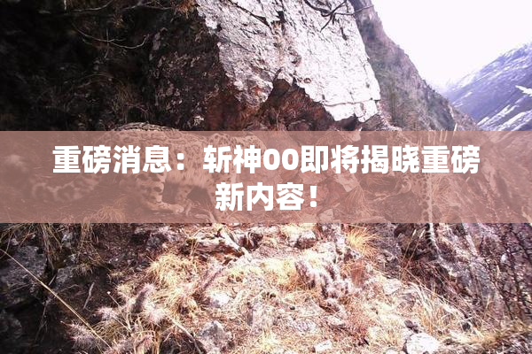重磅消息：斩神00即将揭晓重磅新内容！