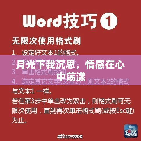 月光下我沉思，情感在心中荡漾