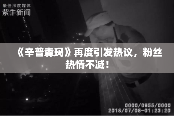 《辛普森玛》再度引发热议，粉丝热情不减！