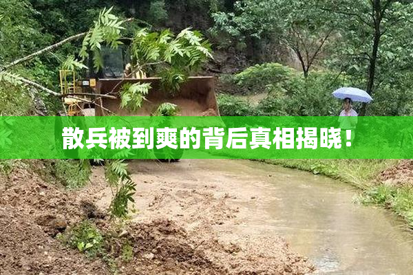 散兵被到爽的背后真相揭晓！