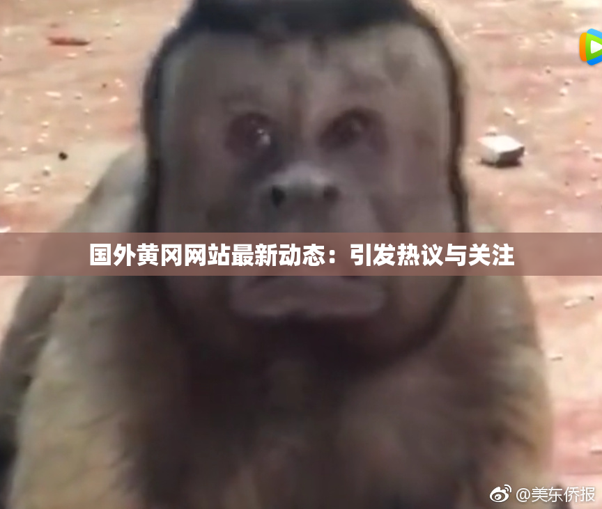 国外黄冈网站最新动态：引发热议与关注