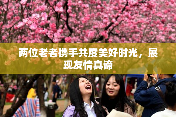 两位老者携手共度美好时光，展现友情真谛